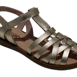 Cangrejera Piel Acebos